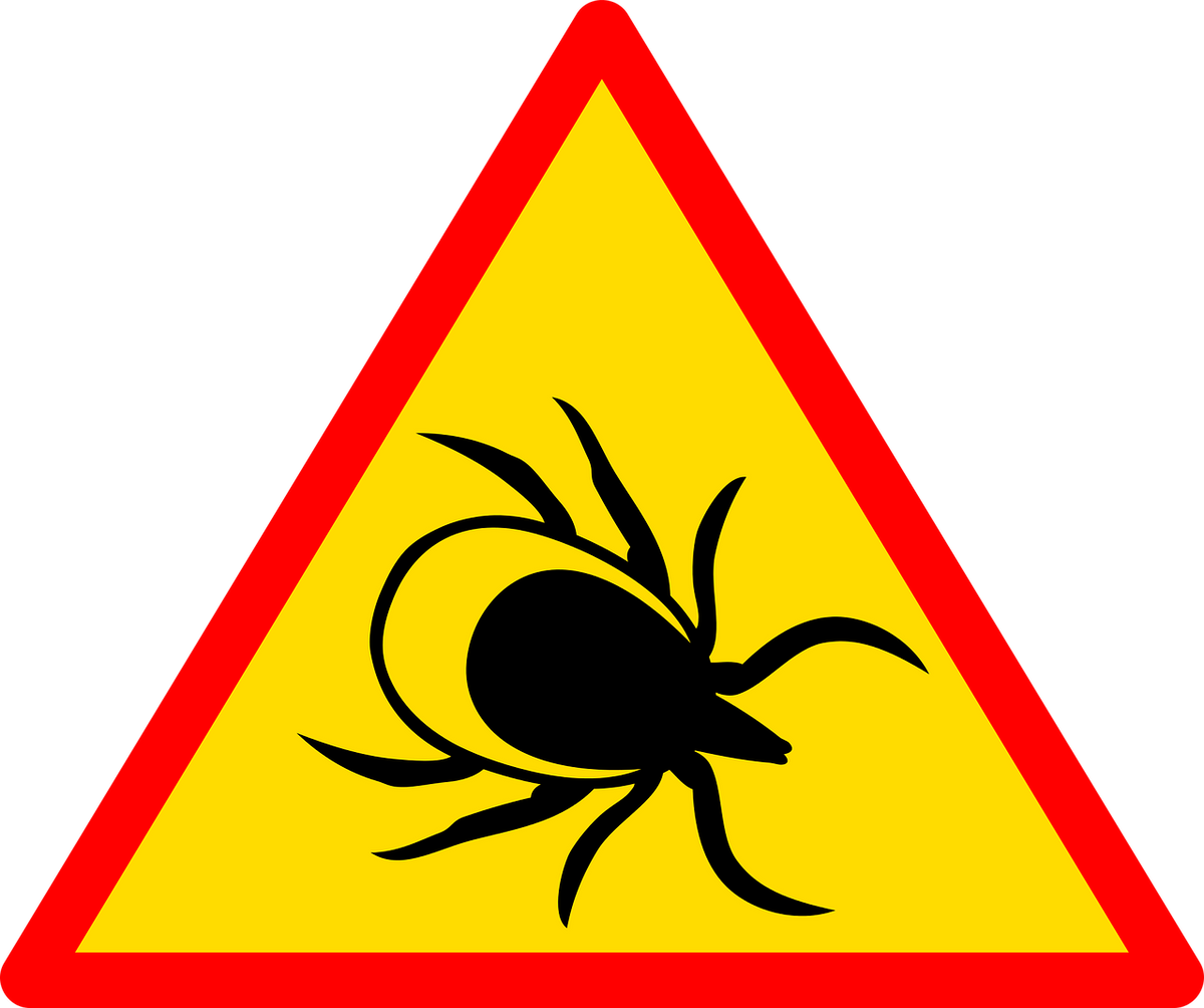 can-lyme-disease-cause-neuropathy