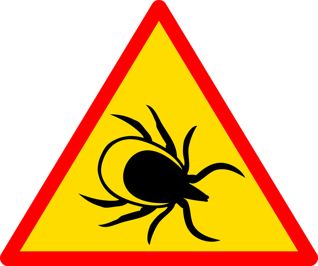 Can Lyme Disease Cause Neuropathy?